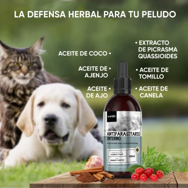 antiparasitario gatos interno animigo ingredientes naturales desparasitante liquido